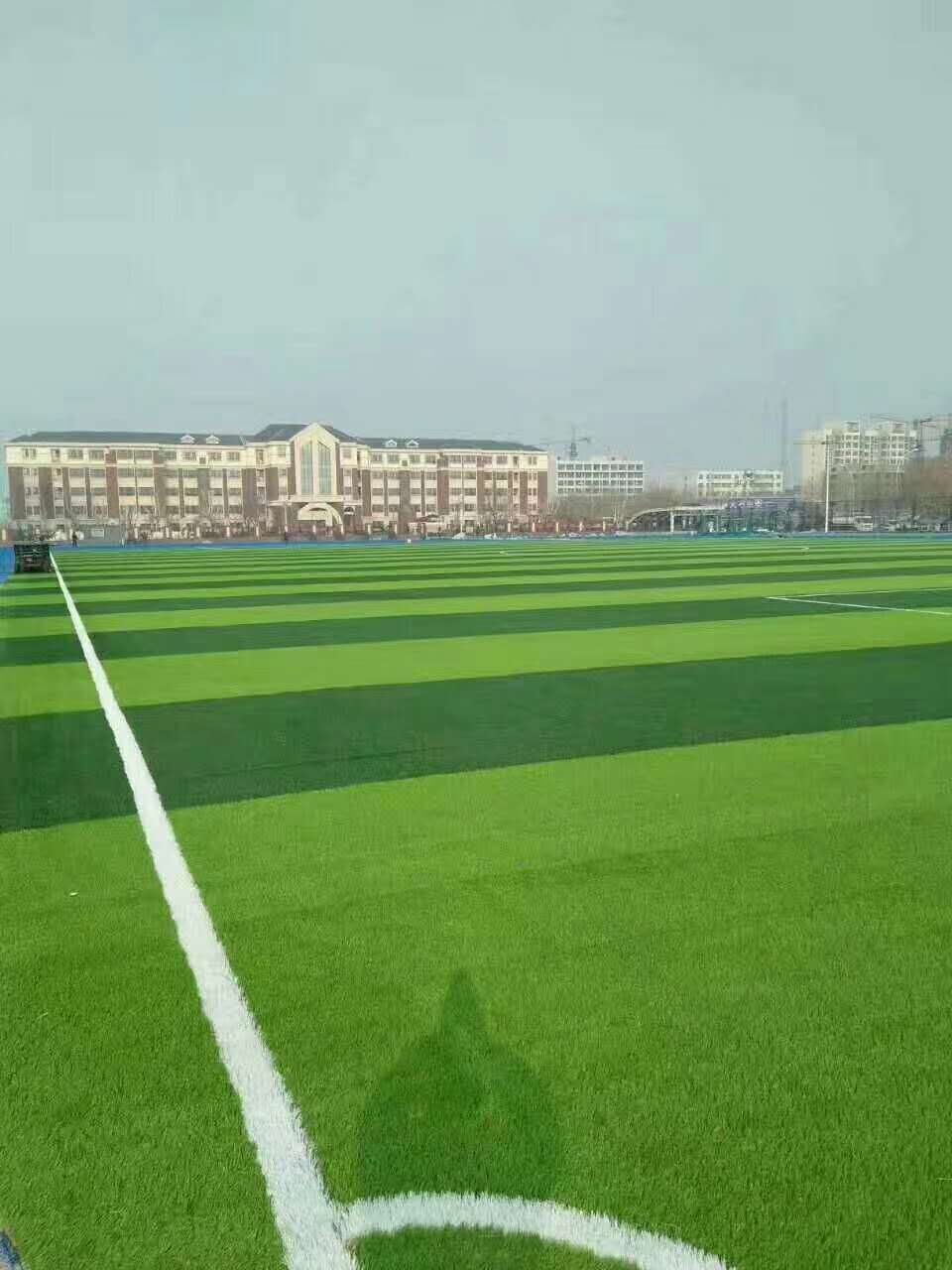 安阳市幼儿园塑胶跑道仿真草坪 - 一站式服务